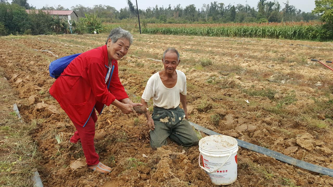 Qg Life 城中館 寵物親子釣魚人民宿 Jincheng Εξωτερικό φωτογραφία