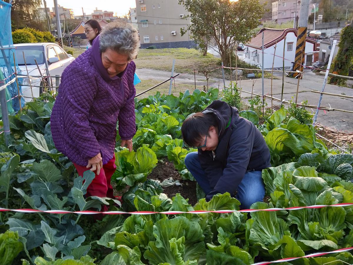 Qg Life 城中館 寵物親子釣魚人民宿 Jincheng Εξωτερικό φωτογραφία